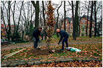 30. rocznica wyborw samorzdowych w Dzieroniowie - 27.11.2020.