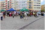 Dzie Flagi Narodowej oraz Dzie Polonii i Polakw za Granic uroczystoci w Dzieroniowie - 02.05.2019.