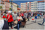 Dzie Flagi Narodowej oraz Dzie Polonii i Polakw za Granic uroczystoci w Dzieroniowie - 02.05.2019.